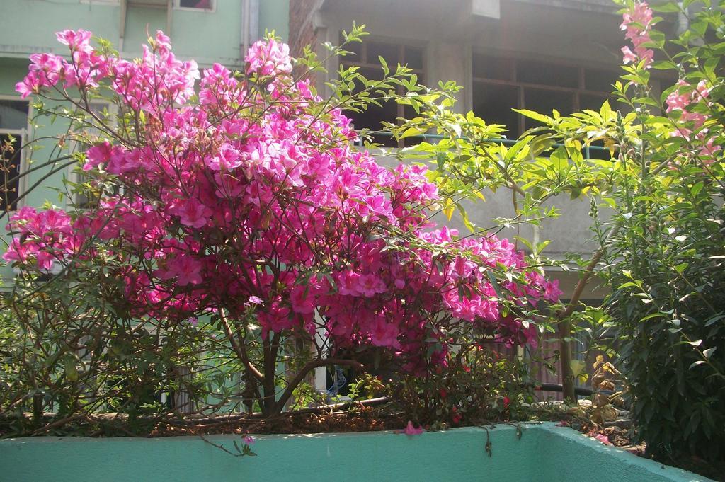 Hotel Impala Garden كاتماندو المظهر الخارجي الصورة